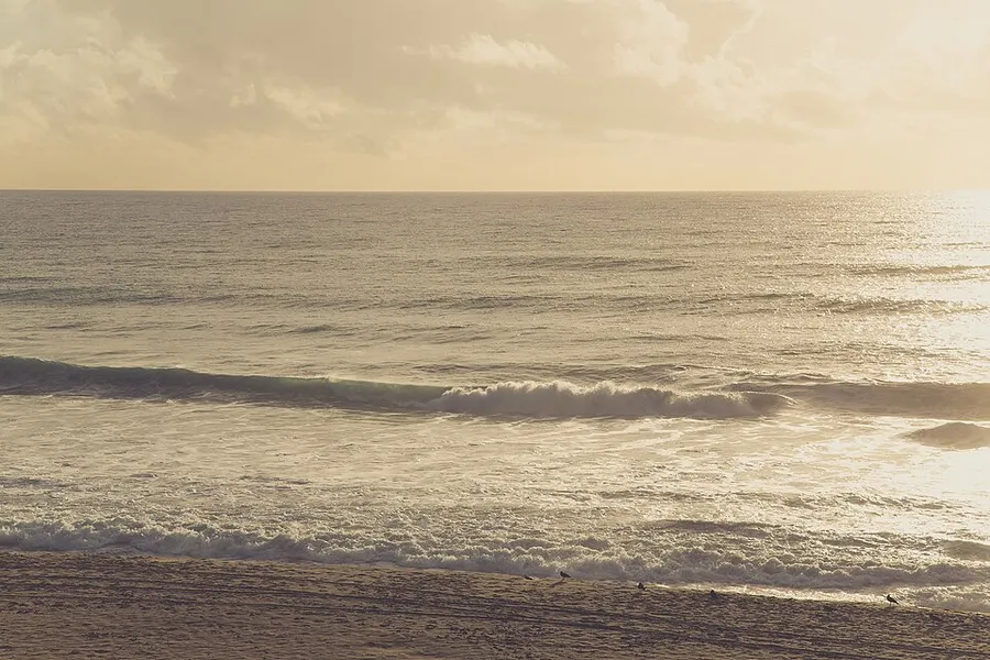 Carlsbad Beach (15833135230) in Carlsbad, California