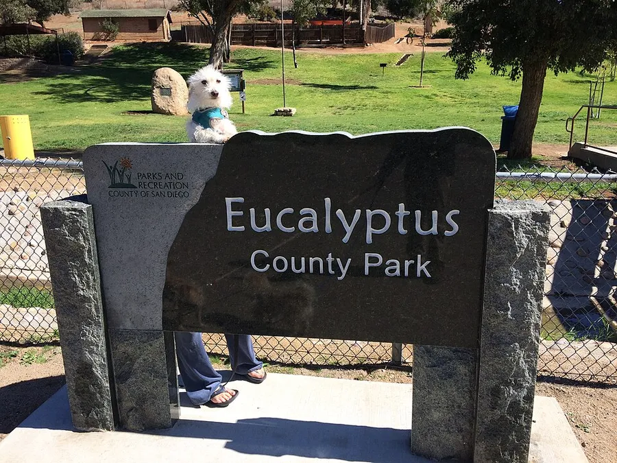 2018-02-20 Eucalyptus Park La Mesa 2241 in El Cajon, California