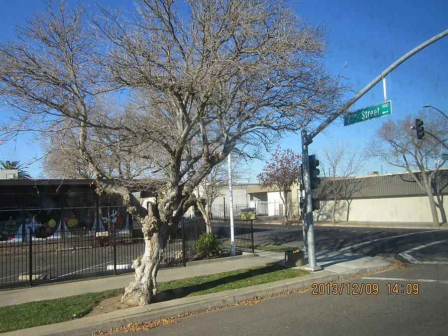 Downtown Modesto, Modesto, CA, USA - panoramio in Modesto, California
