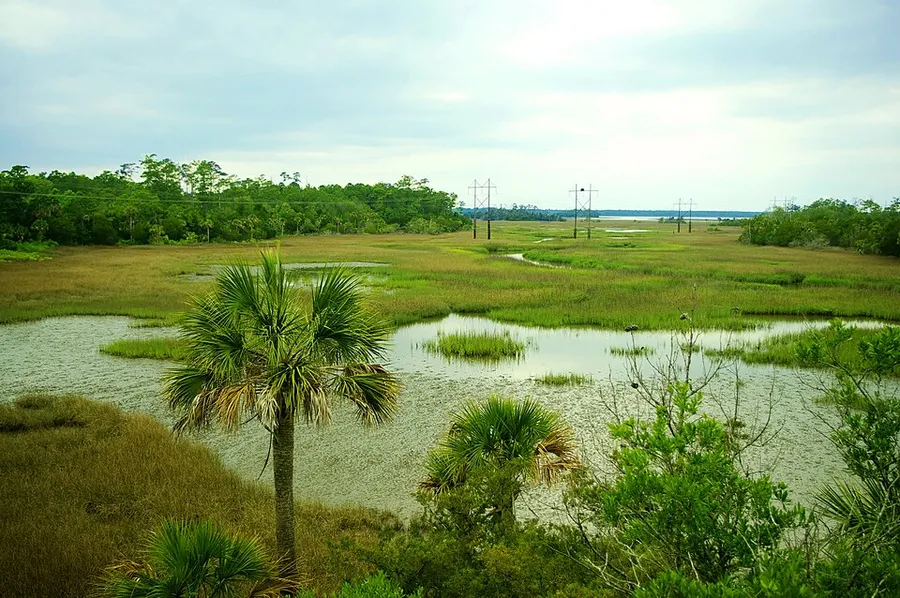 Palmetto-islands-park-tower-north-sc1 in Mount Pleasant, South Carolina