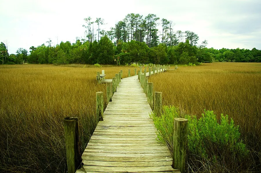 Palmetto Islands Park Boardwalk in Mount Pleasant, South Carolina