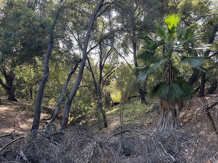 Under the Oaks - Warm Springs Park 1 in Murrieta, California