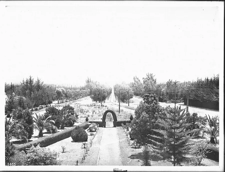 Garden on tree-lined Euclid Avenue, Ontario, California, ca.1900 (CHS-3855) in Ontario, California
