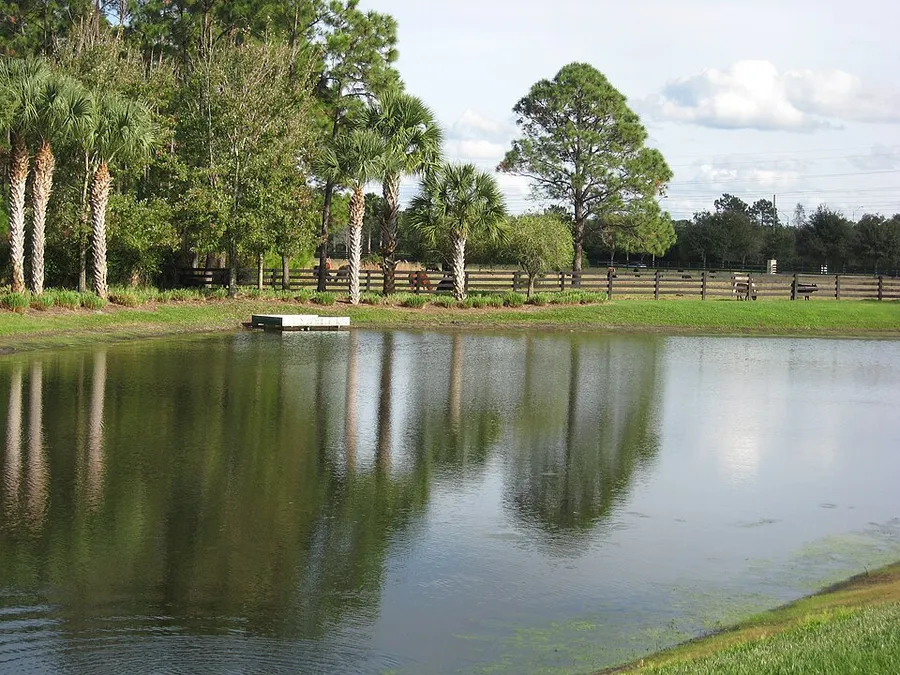 View from Lake Nona Blvd. - panoramio in Orlando, Florida
