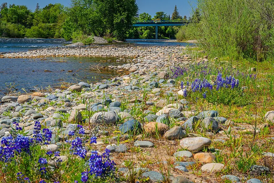 City of Rancho Cordova American River in Rancho Cordova, California