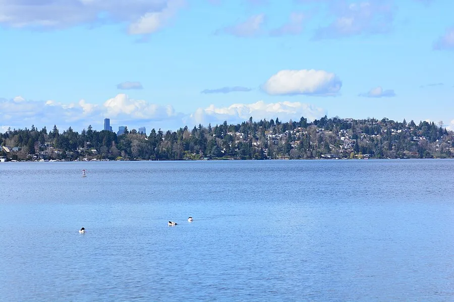 Seattle - looking toward Downtown Seattle from north end of S 72nd Street in Renton, Washington