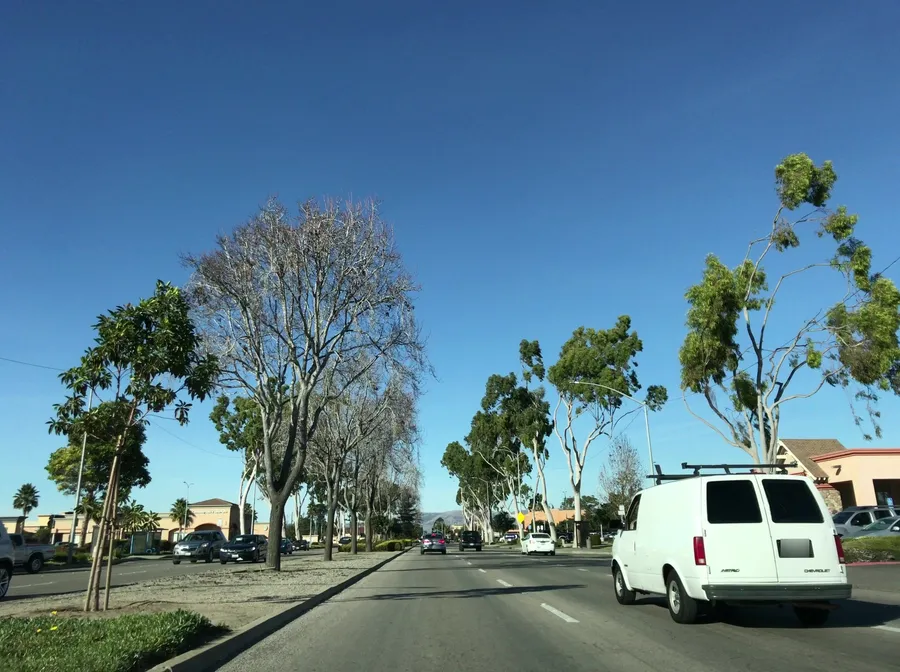 Street-level view in Santa Maria, California