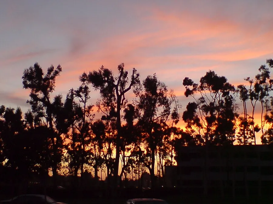 Wilson Park, Torrance in Torrance, California